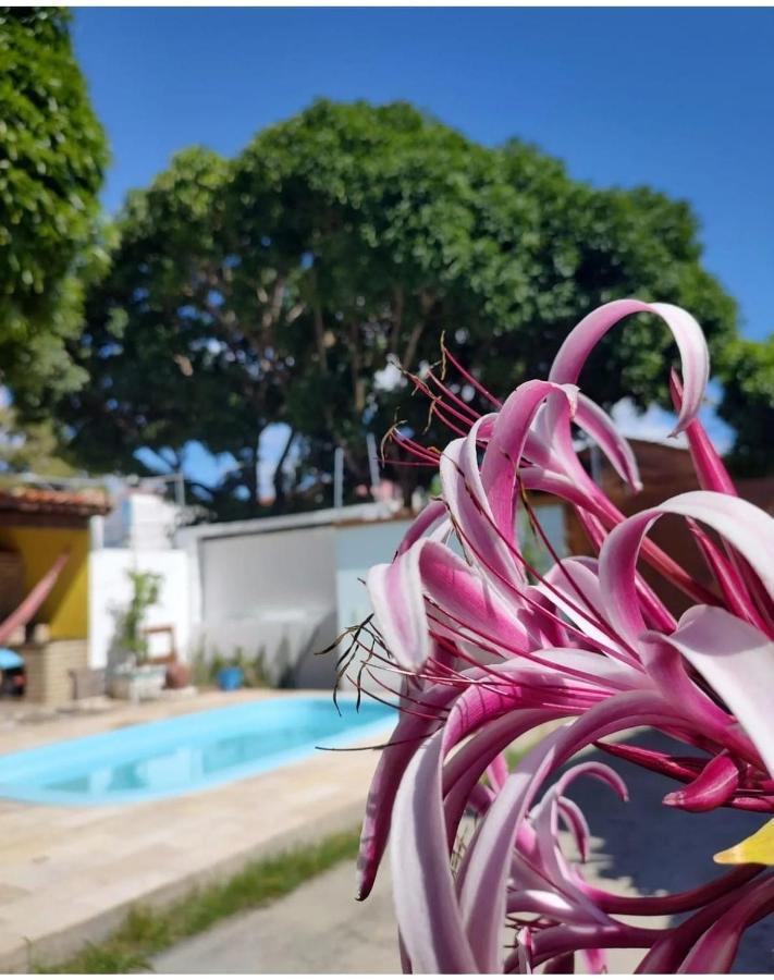 Flor D' Açucena 2*
